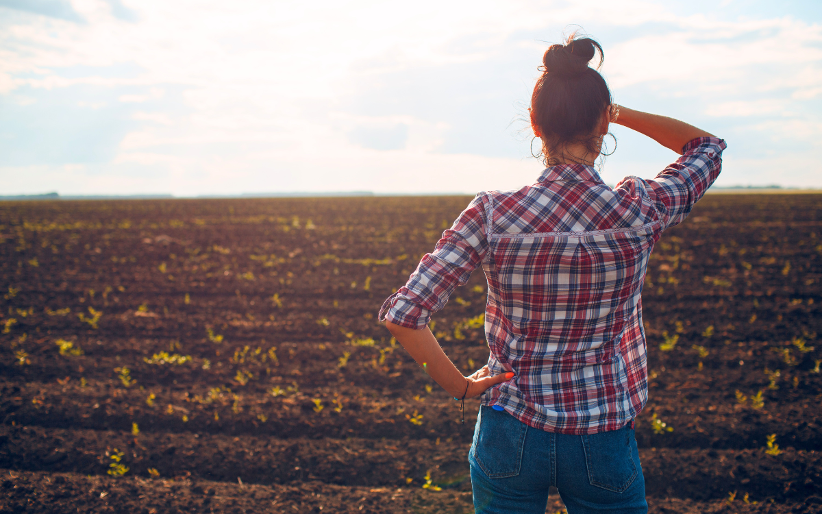What a Soil Survey Actually Tells You Before You Buy Land in Southern Iowa
